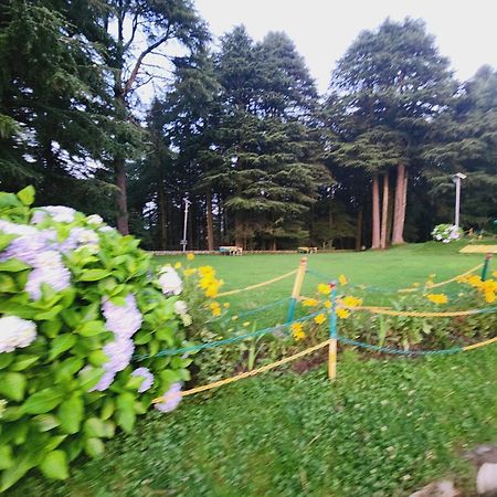 Smarthill Kalatop-Nature'S Heaven Hotel Dalhousie Exterior foto