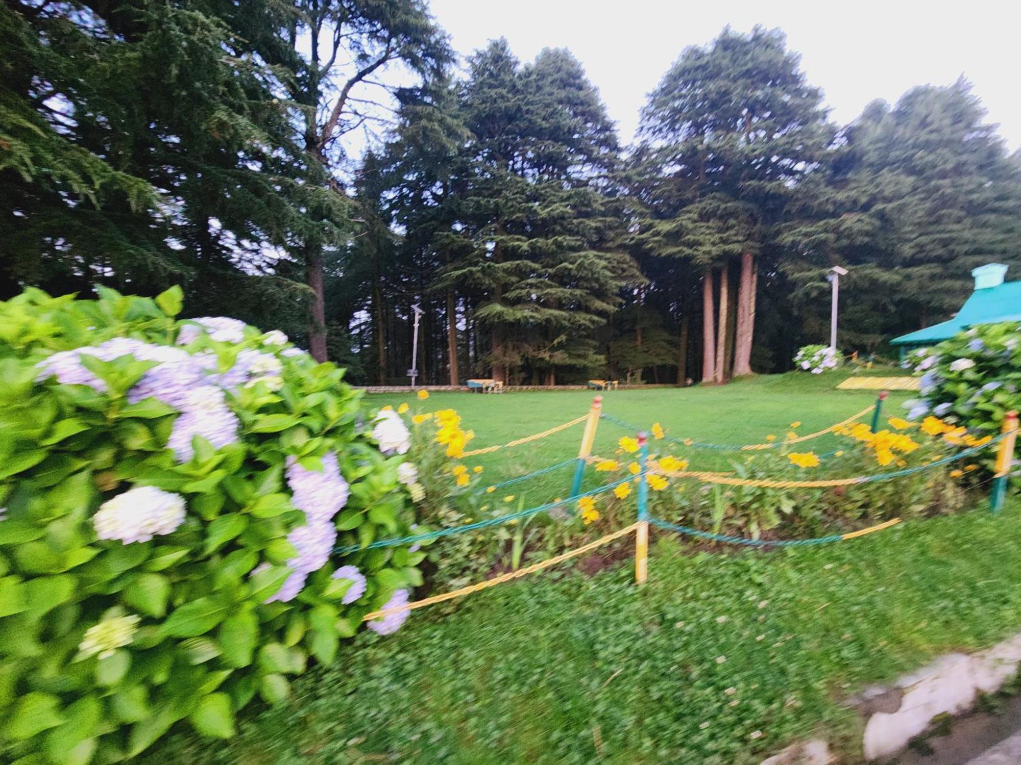 Smarthill Kalatop-Nature'S Heaven Hotel Dalhousie Exterior foto