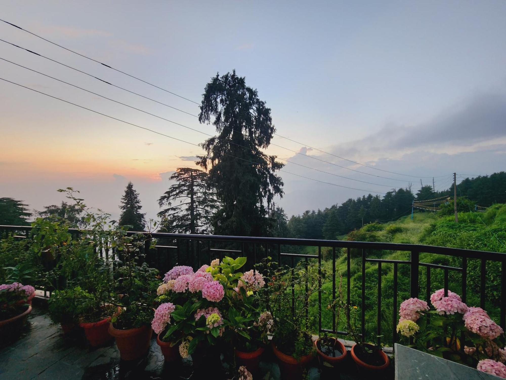 Smarthill Kalatop-Nature'S Heaven Hotel Dalhousie Exterior foto