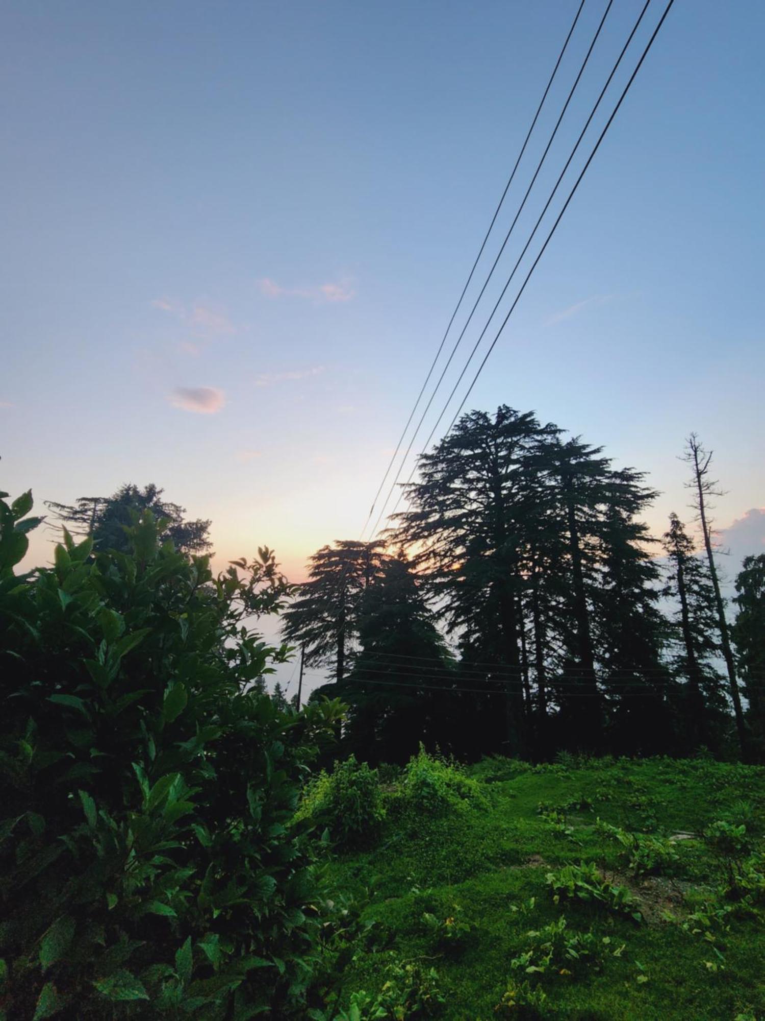 Smarthill Kalatop-Nature'S Heaven Hotel Dalhousie Exterior foto
