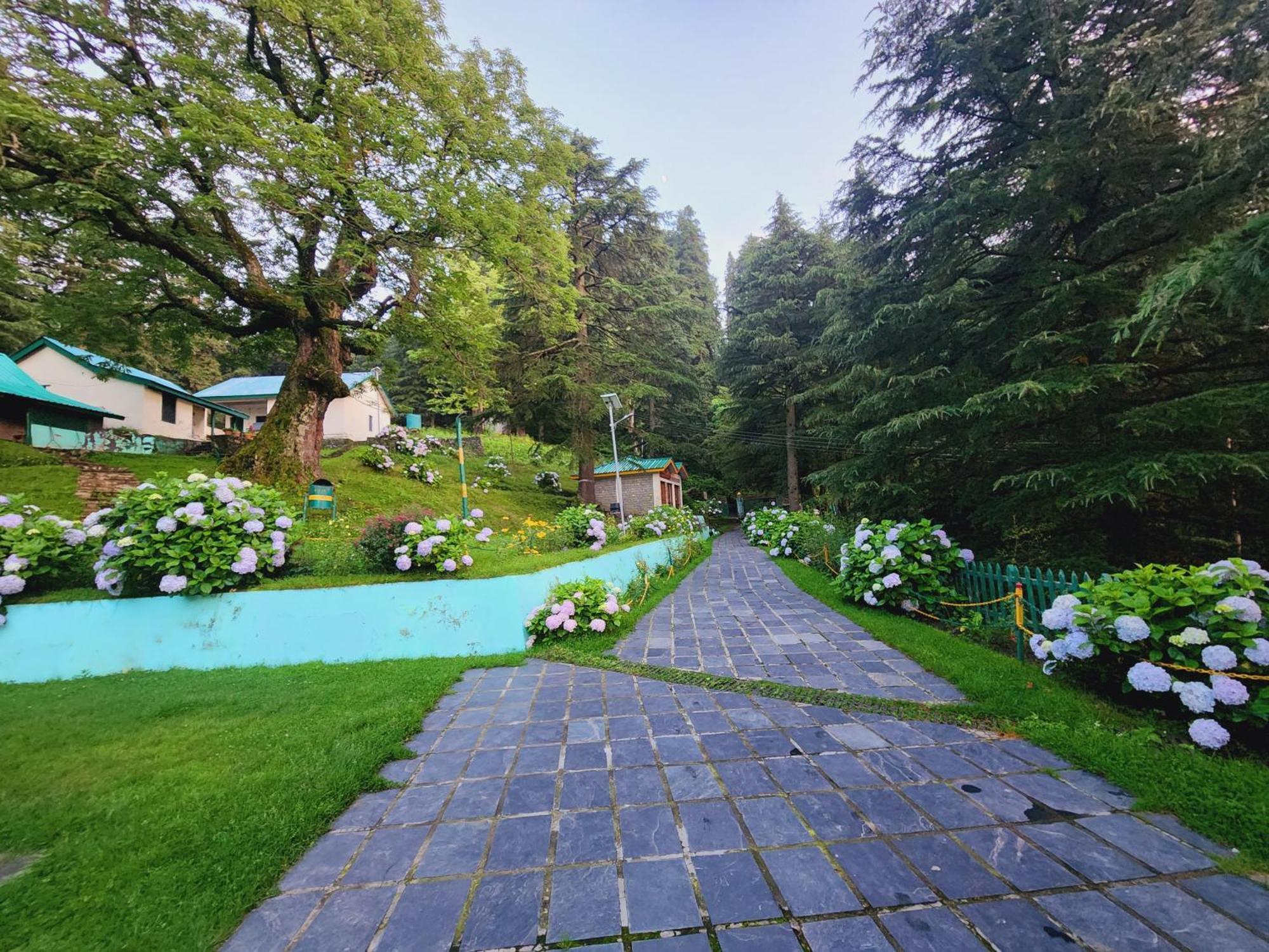 Smarthill Kalatop-Nature'S Heaven Hotel Dalhousie Exterior foto
