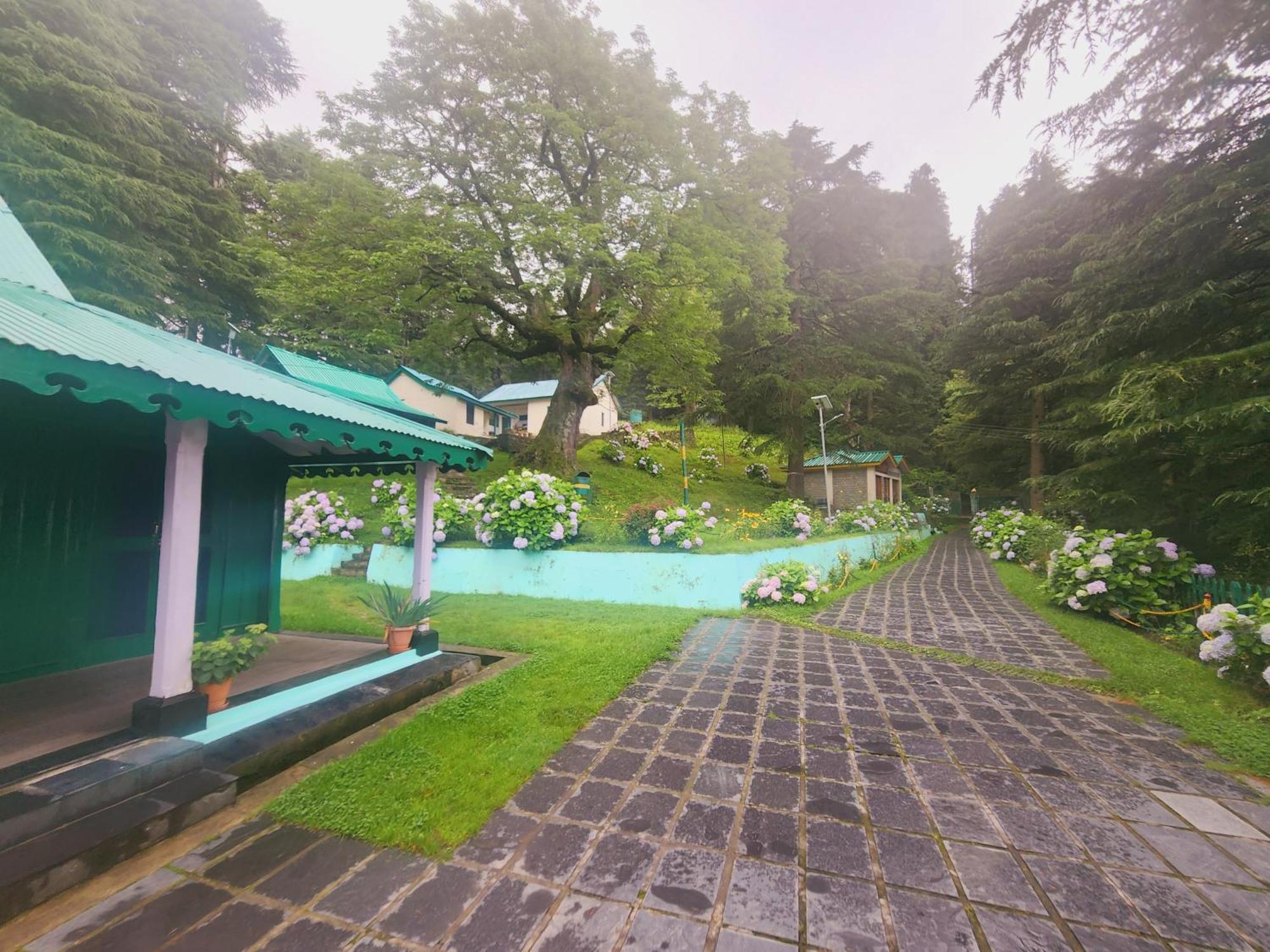 Smarthill Kalatop-Nature'S Heaven Hotel Dalhousie Exterior foto