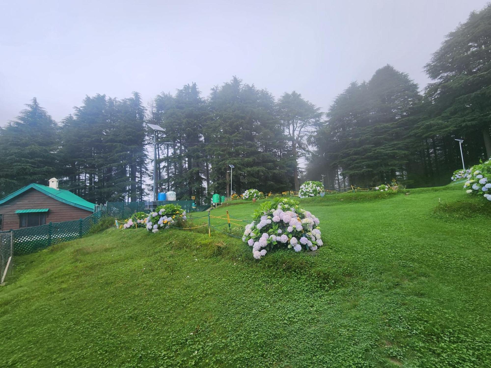 Smarthill Kalatop-Nature'S Heaven Hotel Dalhousie Exterior foto