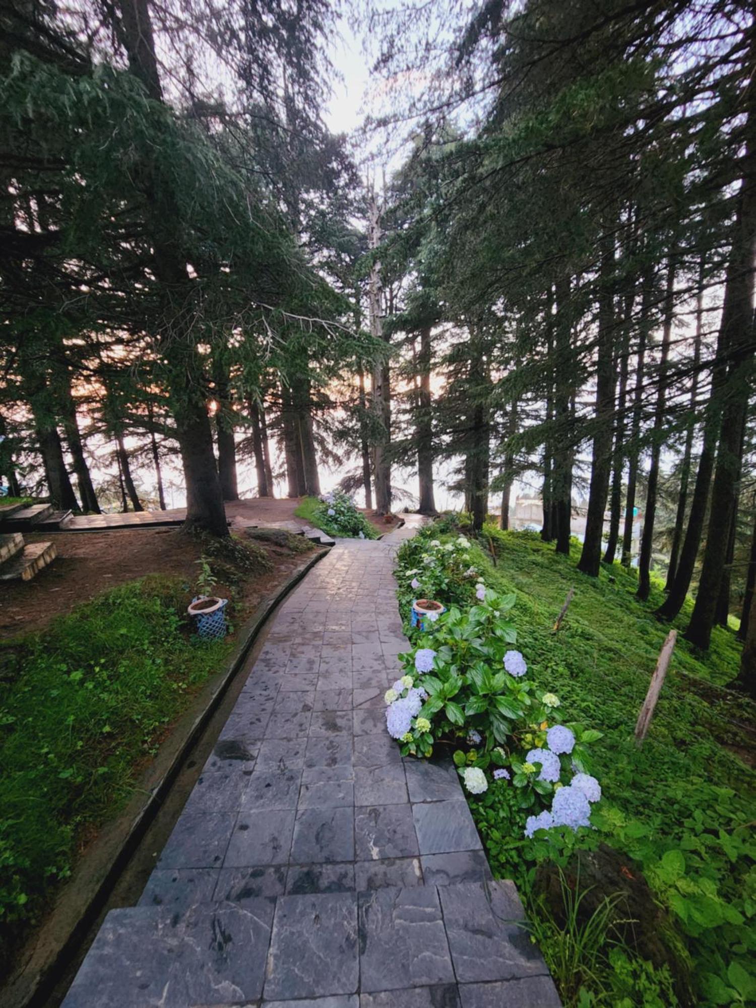 Smarthill Kalatop-Nature'S Heaven Hotel Dalhousie Exterior foto