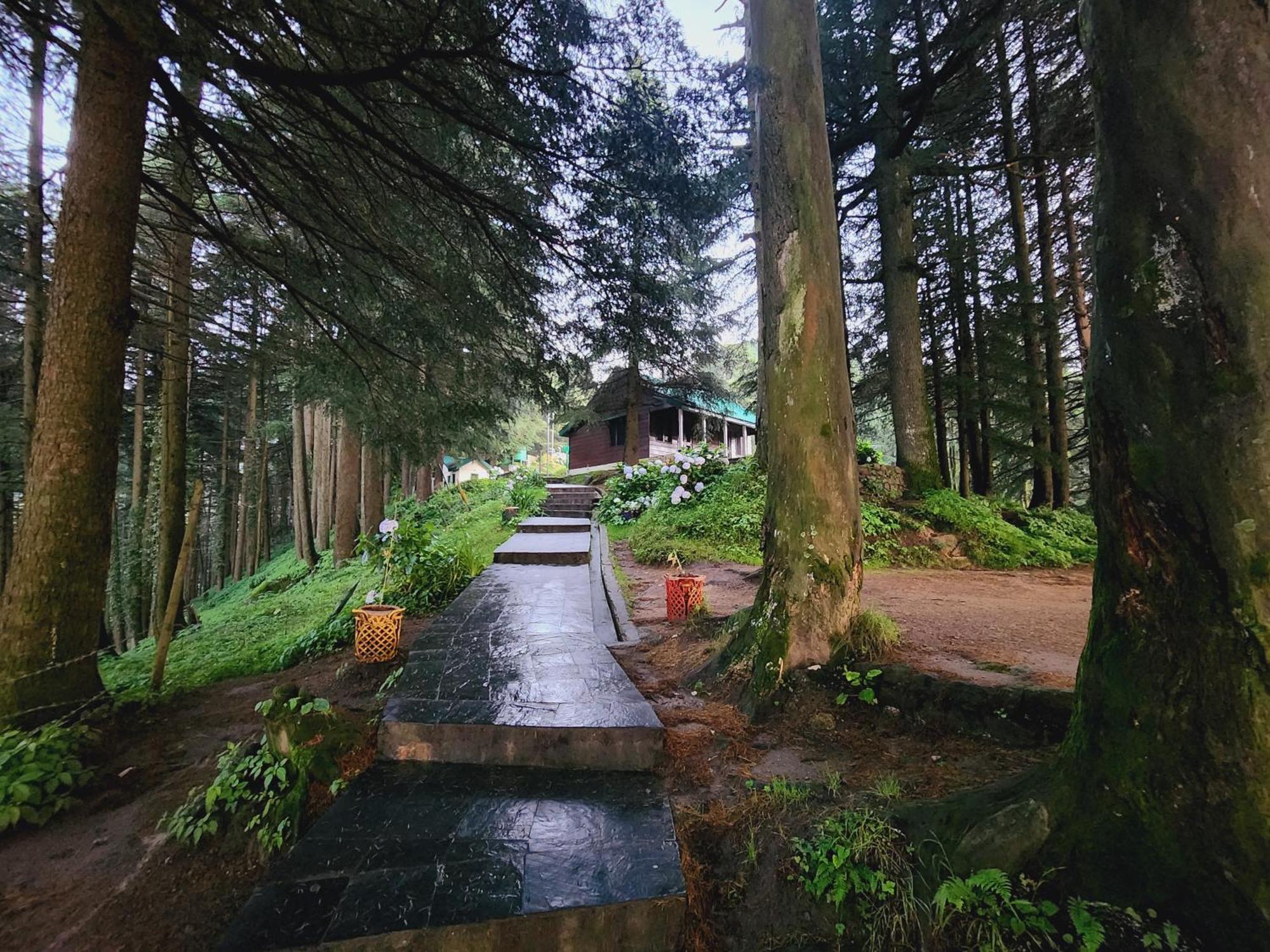 Smarthill Kalatop-Nature'S Heaven Hotel Dalhousie Exterior foto